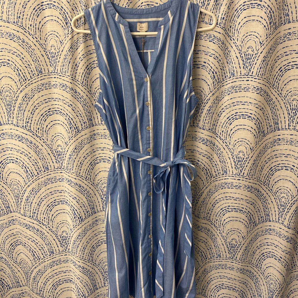 NWT Target: Blue and white stripped dress